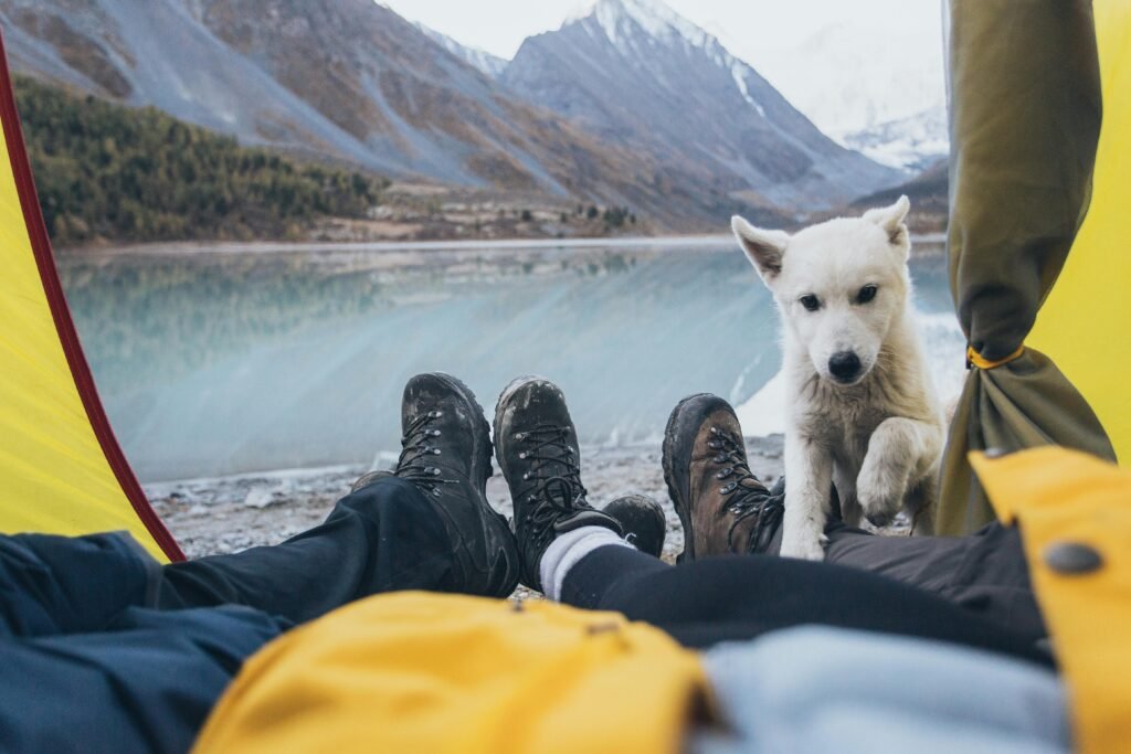 Couple camping in a tent with a white dog by a serene mountain lake.